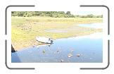 03 Dinghy op het droge aan het eind van River Yar * 1152 x 648 * (325KB)